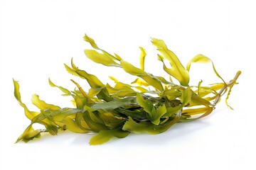 Aufkleber - Wakame seaweed on a clean white surface, perfect for enjoying raw or cooked