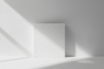 Poster - White blank canvas standing on white floor with dramatic light and shadow creating an abstract minimalist background ideal for showcasing artwork or product placement