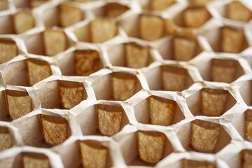 Poster - Honeycomb structure creating a beautiful geometric pattern with hexagon cells, a concept for natural architecture and design