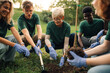 © Zamrznuti tonovi - Group of volunteers planting a tree in the park