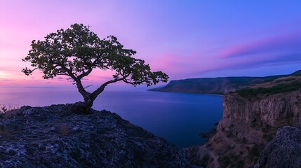 Canvas Print - Solitary Tree on a Cliffside at Sunset Overlooking the Serene Ocean