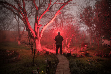 Wall Mural - mysterious pathway. footpath in the dark, foggy, autumnal, mysterious forest.