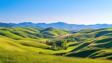  Rolling green hills under a clear blue sky create a peaceful and scenic landscape