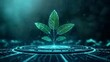 © CHA - Green Technology Concept with Growing Plant and Data
