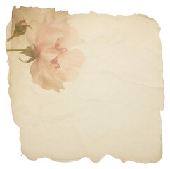 Wall Mural - PNG  Flower ripped paper backgrounds petal plant.