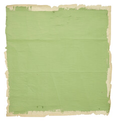 Wall Mural - PNG Green ripped paper backgrounds texture