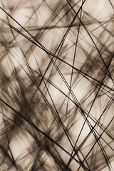 Poster - Abstract sepia toned background with intertwined lines creating geometric shapes, ideal for minimalist and modern designs