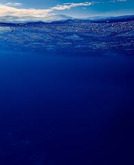 Poster - Tranquil Underwater Scene with Deep Blue Ocean Surface and Sunlit Waves : Generative AI