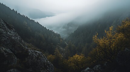 Poster - Enchanting Forest Landscape with Misty Valley and Dense Autumn Foliage : Generative AI
