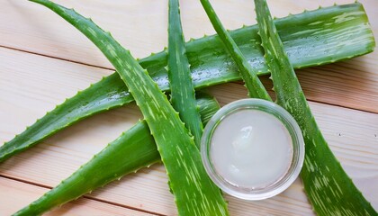 Wall Mural - Fresh aloe vera leaves and gel. Natural skincare.