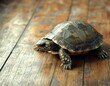 © ANUAR - Close-Up View of a Striking Turtle Crawling on Rustic Wooden Surface in Natural Light Capturing Elegance and Serenity of Reptile Life