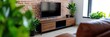 © Steph - living room plants interior design,