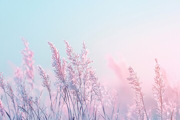 Wall Mural - Serene pastel landscape featuring tall grass swaying gently in a soft breeze at sunrise