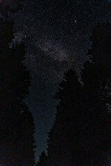 Wall Mural - night sky dotted with countless stars and the cosmic light of the Milky Way