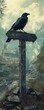 © arlisa - Raven on Signpost, Village Background, Fantasy