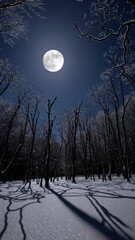 Poster - A winter evening capturing a full moon rising over a snowy forest clearing, casting moonlit shadows on the ground.