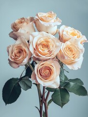 Aufkleber - Bouquet of roses standing on white blank studio background.