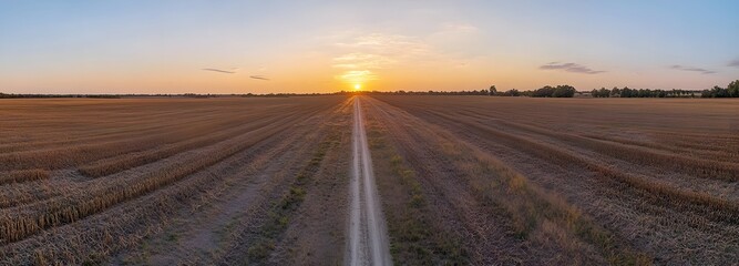 Wall Mural - A long road stretching through an empty field at sunset