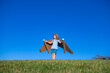 © Volodymyr - Kid boy playing with jetpack outdoor. Child with cardboard wings. Spring travel and adventure. Kids success and leader, startup concept.
