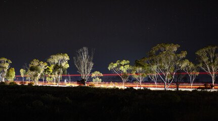 an invisible truck leaves a light trail and lights up the road and fringing trees in a long exposure