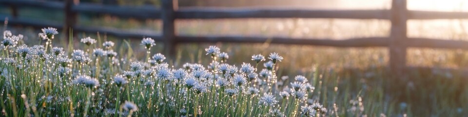 Poster - A bright and colorful field of flowers with a rustic wooden fence in the background