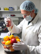 © Stacey - Scientist check chemical fruit residues in laboratory.