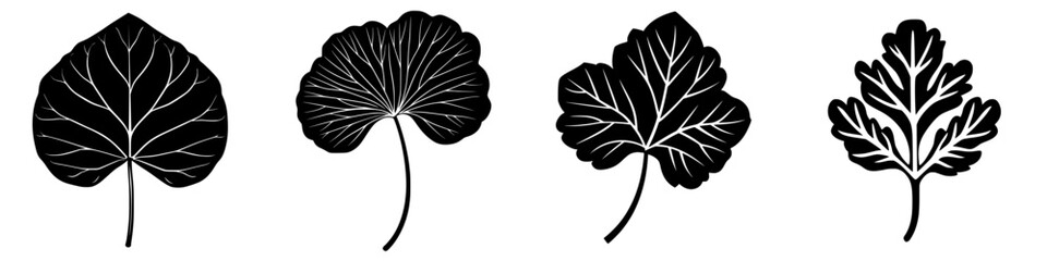 Poster - Different silhouettes of leaves showcasing unique shapes and designs in black and white on a neutral background