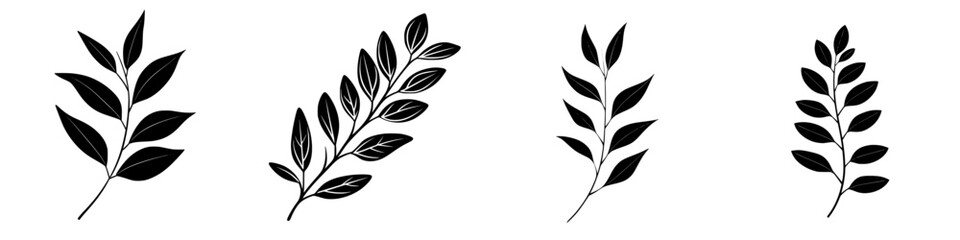 Poster - Stylized botanical illustrations featuring various branches with leaves in black silhouette on white background