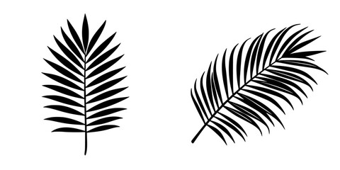 Poster - Detailed black silhouettes of two palm leaves arranged side by side, showcasing natural patterns and textures