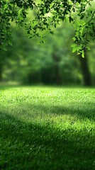 Wall Mural - Lush green grass field under a canopy of leaves creating a serene and peaceful natural scene