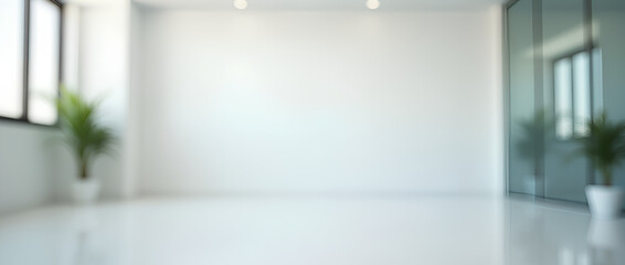 Wall Mural - empty white business office with blurred background