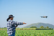 © kelvn - Agronomist Using Technology in Agricultural Corn Field. Drone flying over green corn fields.