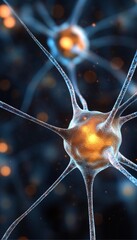 Poster - Glowing Artistic Concept Of Neural Connections And Synapses In The Brain s Nervous System