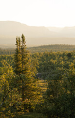 Fototapete - Forest and mountains in National Park Valadalen, Jamtland.