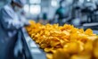 © Yevheniiya - Potato Chips on a Conveyor Belt in a Food Processing Facility