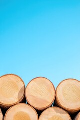 Poster - captivating image of lumberyard showcasing diverse wood logs stacked neatly under clear blue sky