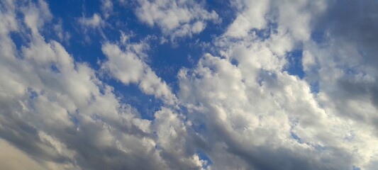 Wall Mural - clouds in the sky