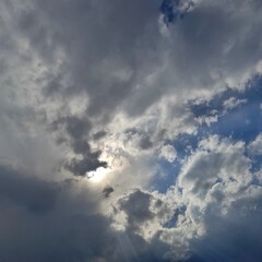 Wall Mural - clouds in the sky