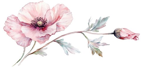 Poster - Pink Watercolor Flower