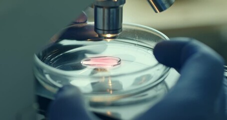 Wall Mural - detailed closeup of microscope meticulously examining petri dish in wellorganized laboratory setting