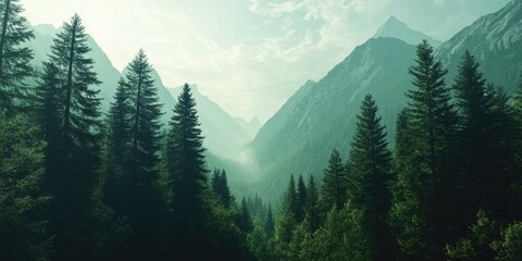 Wall Mural - Green Forest Landscape