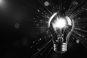 Poster - A clean illustration of a glowing light bulb surrounded by subtle radiating lines, symbolizing a crucial idea or realization