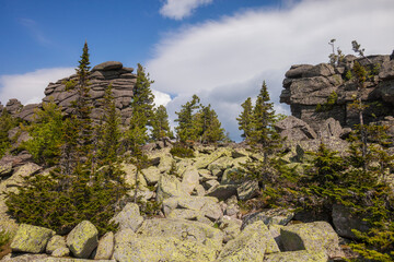 Wall Mural - Remnants pillars, Mount Zelenaya. Sheregesh, Russia