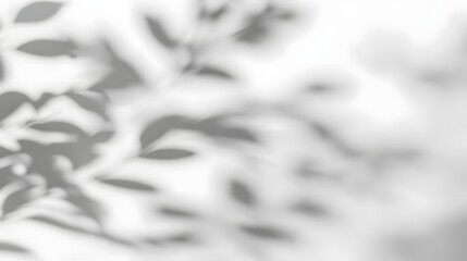 Poster - Serene Organic Abstract Composition of Soft Leaf Shadows Blending onto a Minimalist White Wall Background  This image showcases a harmonious and calming aesthetic with a natural
