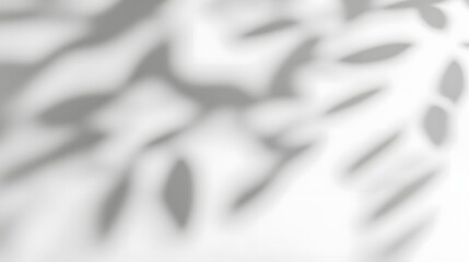 Poster - Delicate shadows of natural leaves gently fall on a pristine white wall