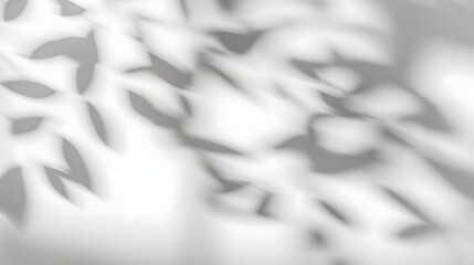 Poster - Soft and dreamy tree leaves shadow overlaying a plain white wall background with subtle light transitions evoking a tranquil and timeless mood
