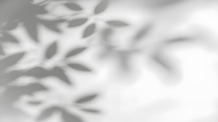 Fototapete - Stylish abstract tree leaf shadows gently falling and cascading on a bright white wall background creating a natural elegant and serene atmosphere for aesthetic visual designs decor and presentations