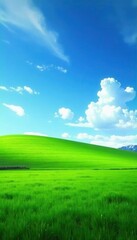 Wall Mural - vast green field stretches to a brilliant blue sky, nature, background