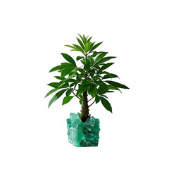 Wall Mural - Emeraldspire Sapling – A young tree with a crystalline green trunk