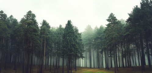 Wall Mural - misty landscape with mountains and dark moody fir forest in hipster vintage retro style